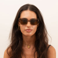 Sito - Indi in Biscotti/Brown Polar