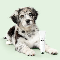 DOG by Dr Lisa - Soothing Balm