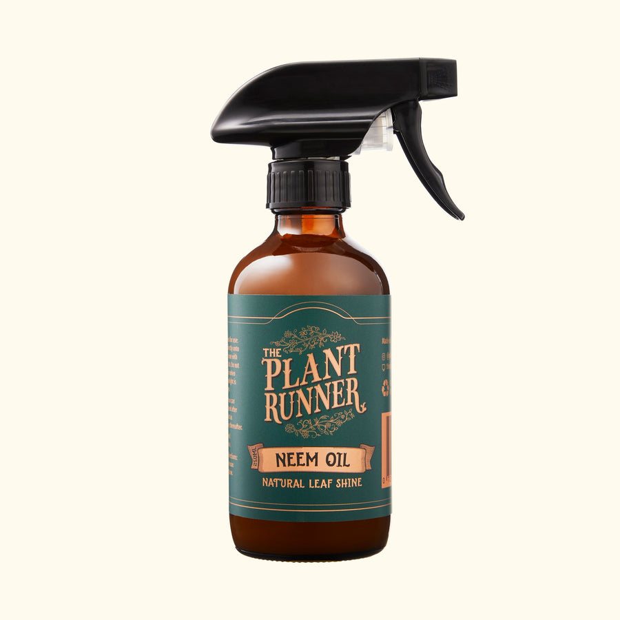 THE PLANT RUNNER - Neem Oil (Natural Leaf Shine)